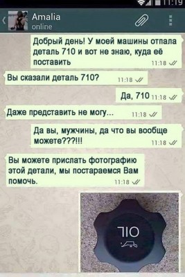 12866046.jpg