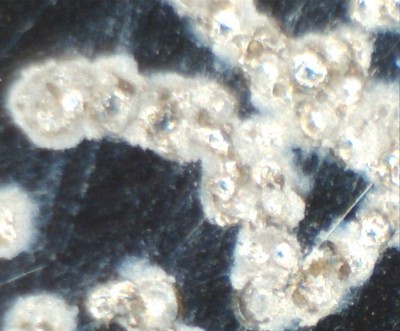 надпись300крат.jpg (138.79 КБ) 18692 просмотра надпись300крат.jpg