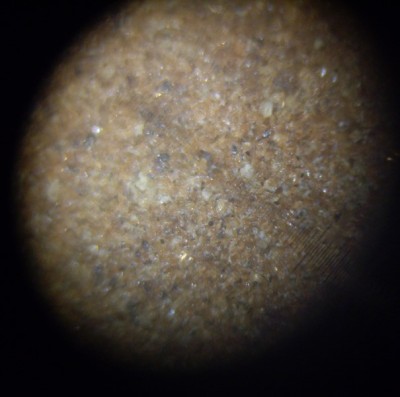 IMGP9910.JPG
