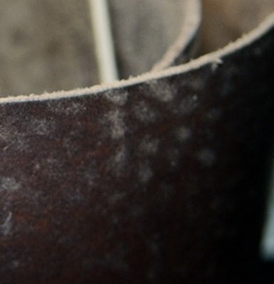 R001.jpg