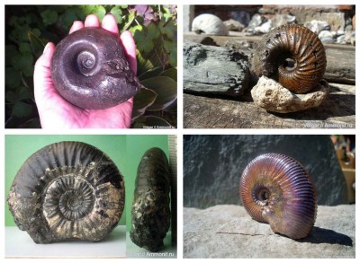 1.jpg (210.28 КБ) 32586 просмотров 1.jpg