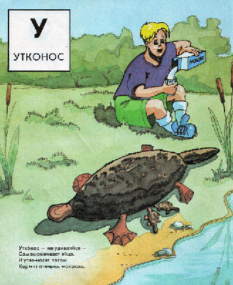 utkonos.jpg (103.06 КБ) 8360 просмотров utkonos.jpg