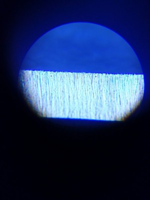 6CWCrycCYf4 (1).jpg