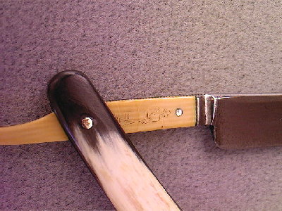 Photo-0101.jpg