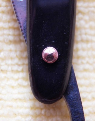100_5108.JPG
