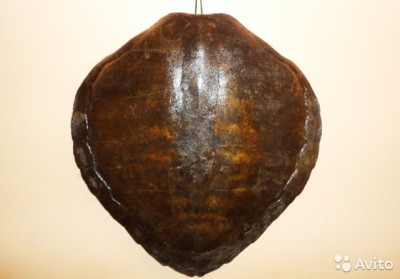 1270987427.jpg (51.55 КБ) 11345 просмотров 1270987427.jpg