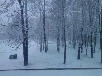 IMG_20160422_083836.jpg (228.84 КБ) 10720 просмотров IMG_20160422_083836.jpg