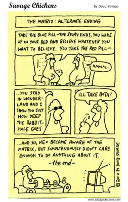 chickenmatrix2.jpg (91.73 КБ) 13947 просмотров chickenmatrix2.jpg