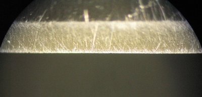 IMG_5232.JPG