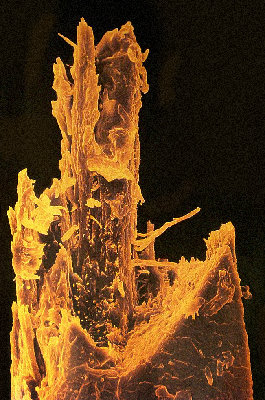 1.jpg (883.21 КБ) 29464 просмотра 1.jpg