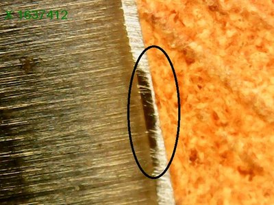 6b84645d719ed6e7ec6bb8ccf70f334e.jpg