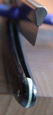 IMG_1217.JPG