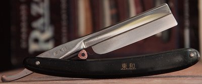 15996937.jpg