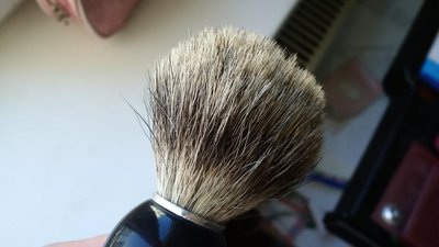 IMG_20160826_074428.jpg