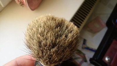 IMG_20160826_074435.jpg