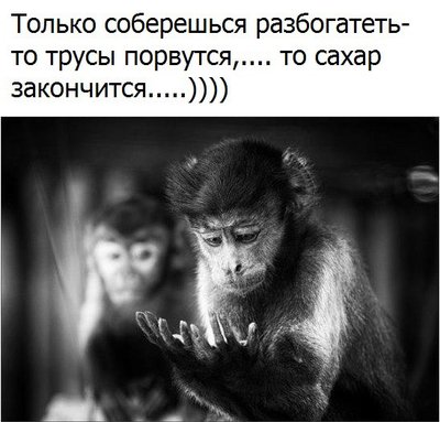 Суровая правда жизни.jpg (62.44 КБ) 17627 просмотров Суровая правда жизни.jpg