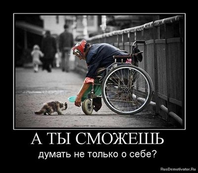 а ты сможешь.jpeg (75.15 КБ) 17172 просмотра а ты сможешь.jpeg