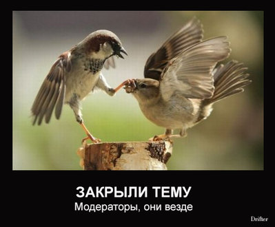 модераторы.jpg (106.07 КБ) 19151 просмотр модераторы.jpg