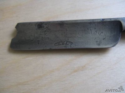 16491605.jpg