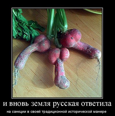 санкции и ответ.jpg (128.86 КБ) 17328 просмотров санкции и ответ.jpg