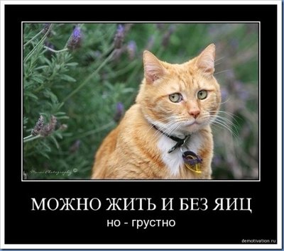 5300-1363436441.jpg (62.85 КБ) 12158 просмотров 5300-1363436441.jpg