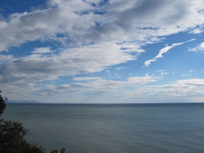 IMG_0345.JPG