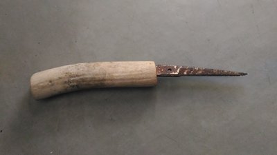 P_20160524_083652.jpg