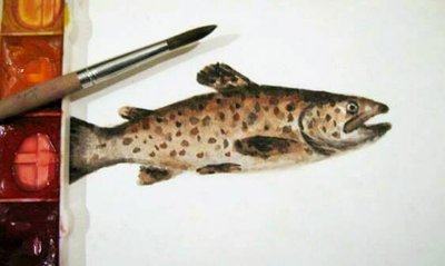 66027_428585403862015_589386894_n_1.jpg (27.19 КБ) 14135 просмотров 66027_428585403862015_589386894_n_1.jpg