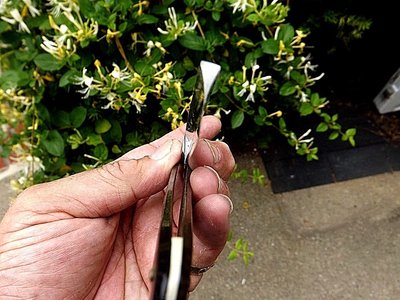 s-l1600 (3).jpg (275.06 КБ) 10017 просмотров s-l1600 (3).jpg