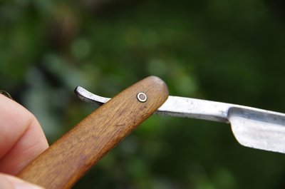 IMGP9320.JPG