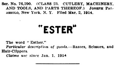 Joseph_Palazzolo_NY_ESTER.jpg