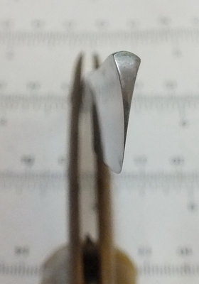 DSCF4504.JPG