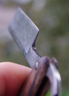 вача07.JPG