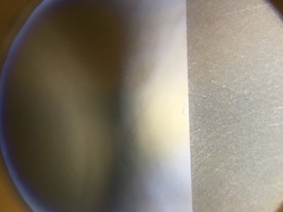 IMG_1401.JPG (218.41 КБ) 16098 просмотров IMG_1401.JPG