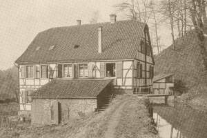 koernen2.jpg